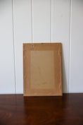 Load image into Gallery viewer, Antique Hand Colored Tucan + Tortoise Engraving (c. 1820)
