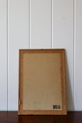 Load image into Gallery viewer, Antique Hand Colored Bird Engraving (c. 1820)
