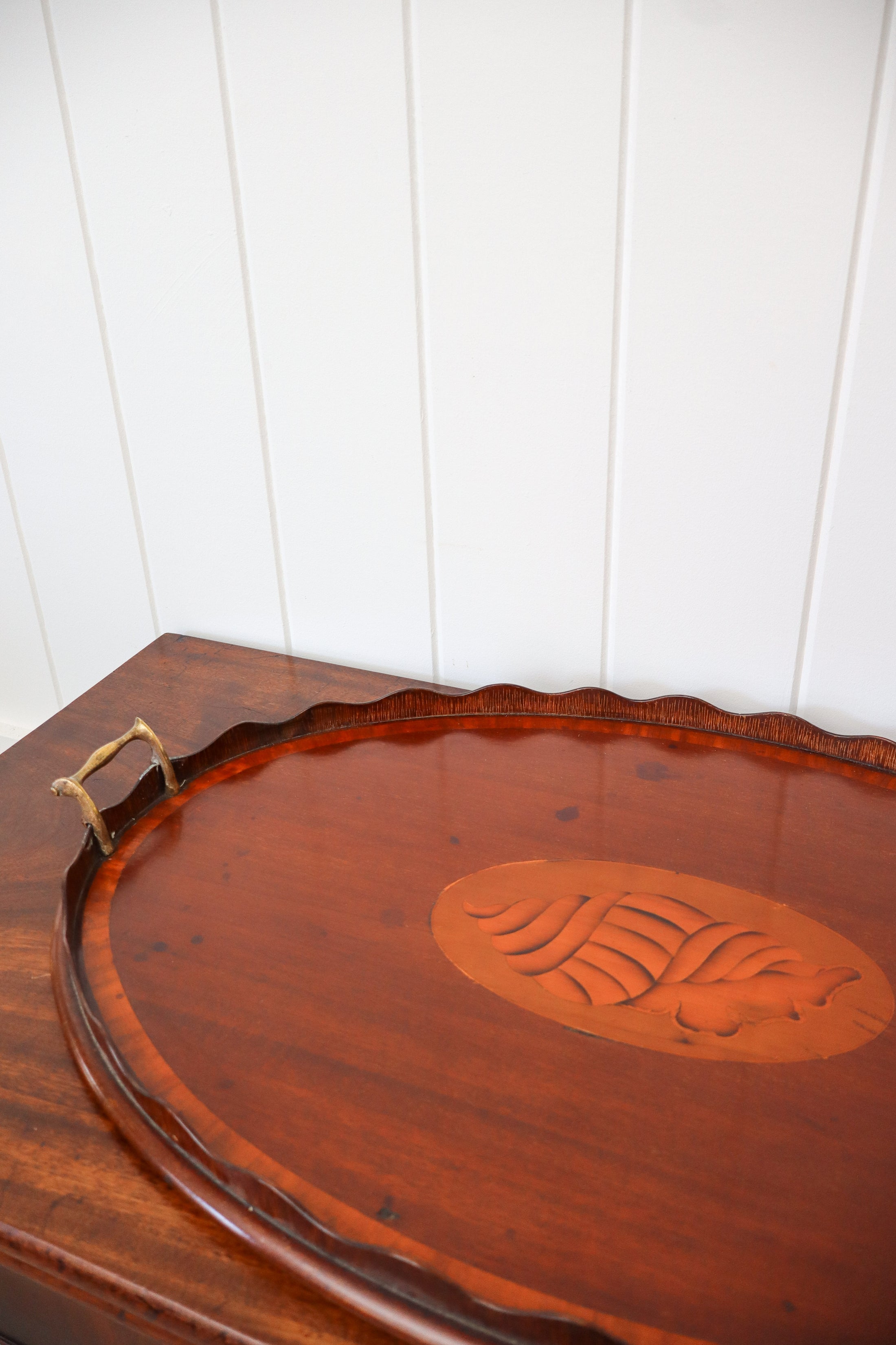 Edwardian Mahogany Butler’s Tray with Shell Inlay + Scalloped Edge