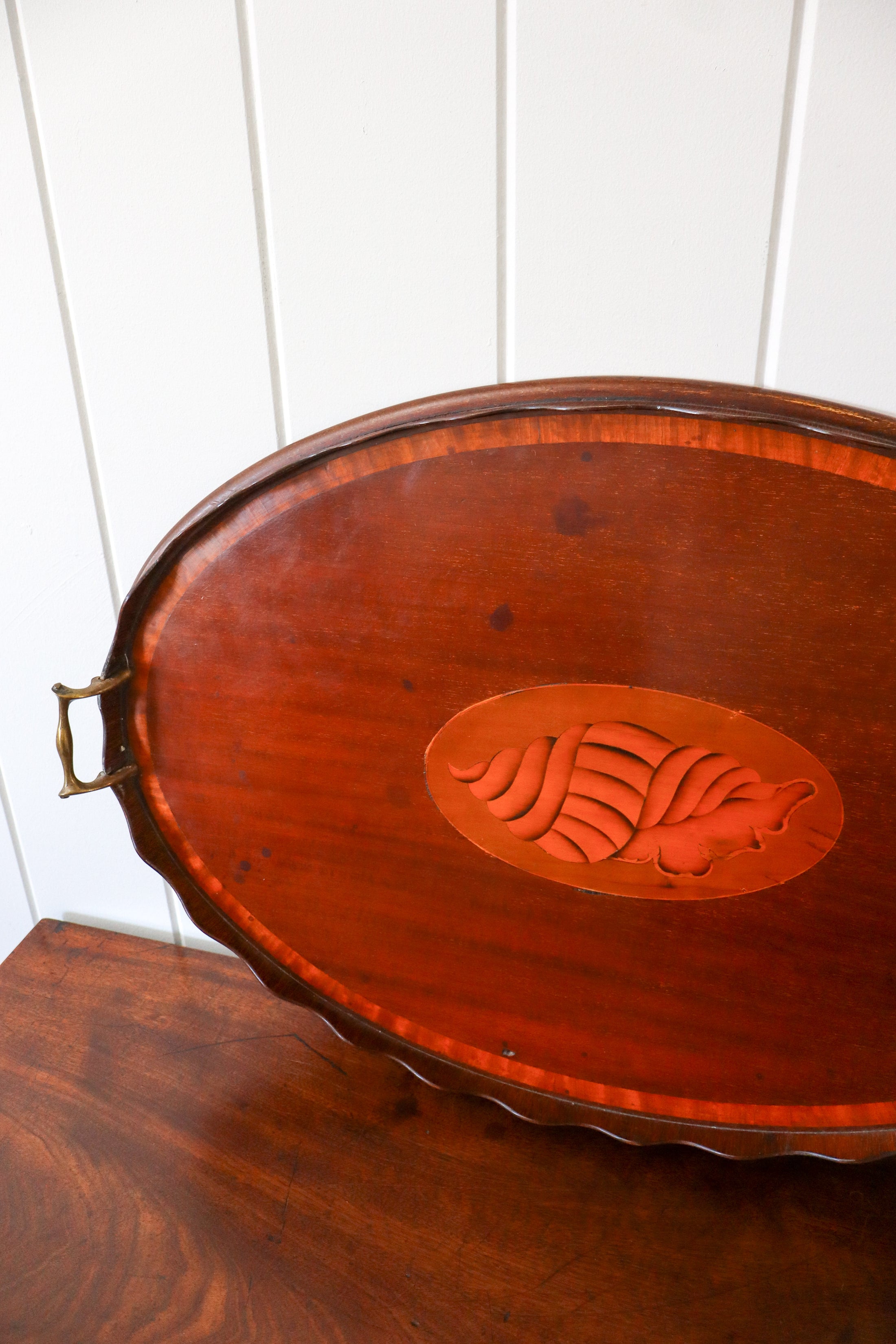 Edwardian Mahogany Butler’s Tray with Shell Inlay + Scalloped Edge