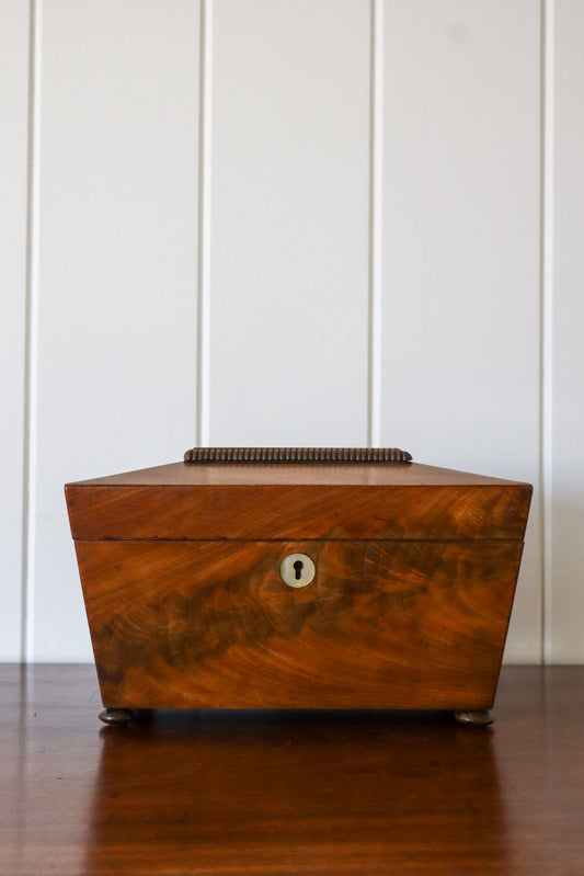 19th Century Mahogany Tea Caddy with Carved Top Detail on Bun Feet
