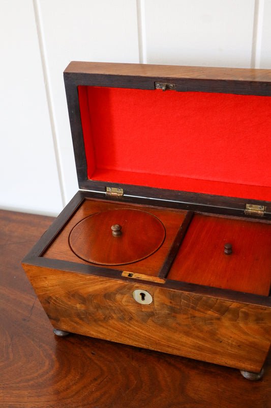 19th Century Mahogany Tea Caddy with Carved Top Detail on Bun Feet
