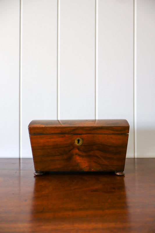 Georgian Rosewood Dome Top Tea Caddy
