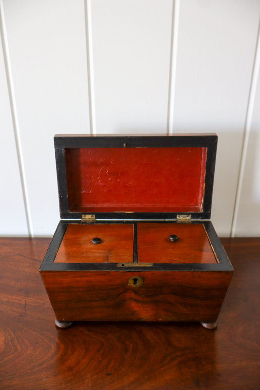 Georgian Rosewood Dome Top Tea Caddy
