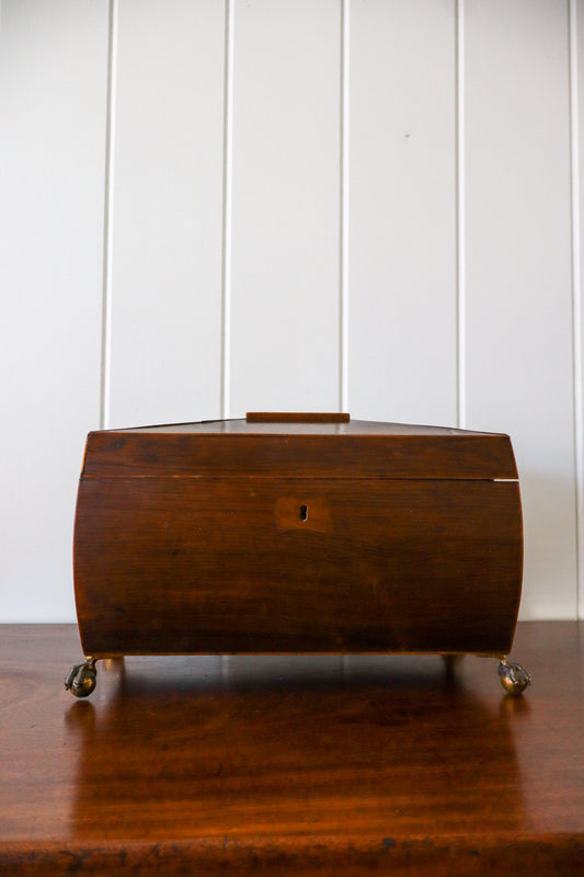 Georgian Rosewood Tea Caddy With Brass Handles + Brass Claw Feet | Original Fittings + Green Interior