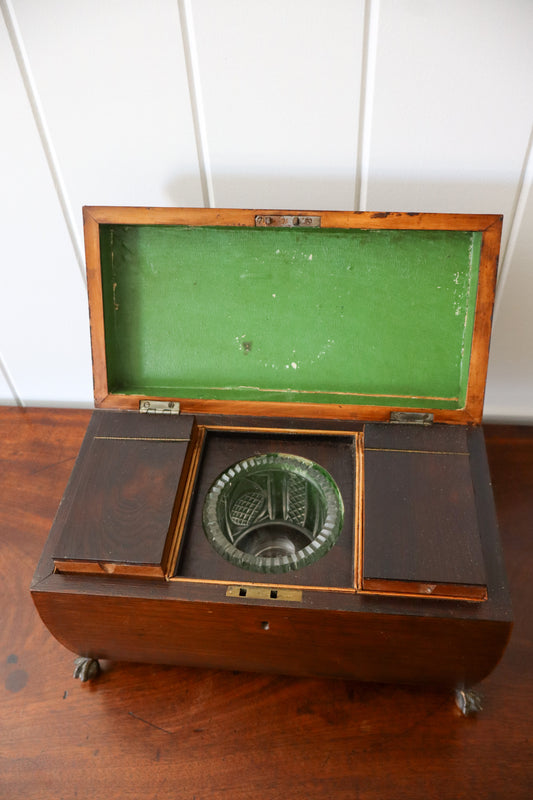 Georgian Rosewood Tea Caddy With Brass Handles + Brass Claw Feet | Original Fittings + Green Interior