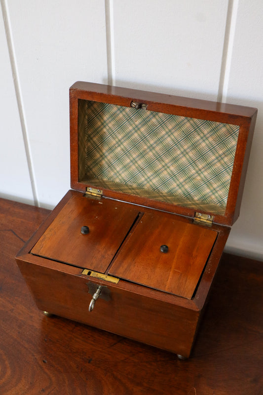 Regency Mahogany Sarcophagus Tea Caddy Brass Ball Feet Working Lock And Key (c. 1810)