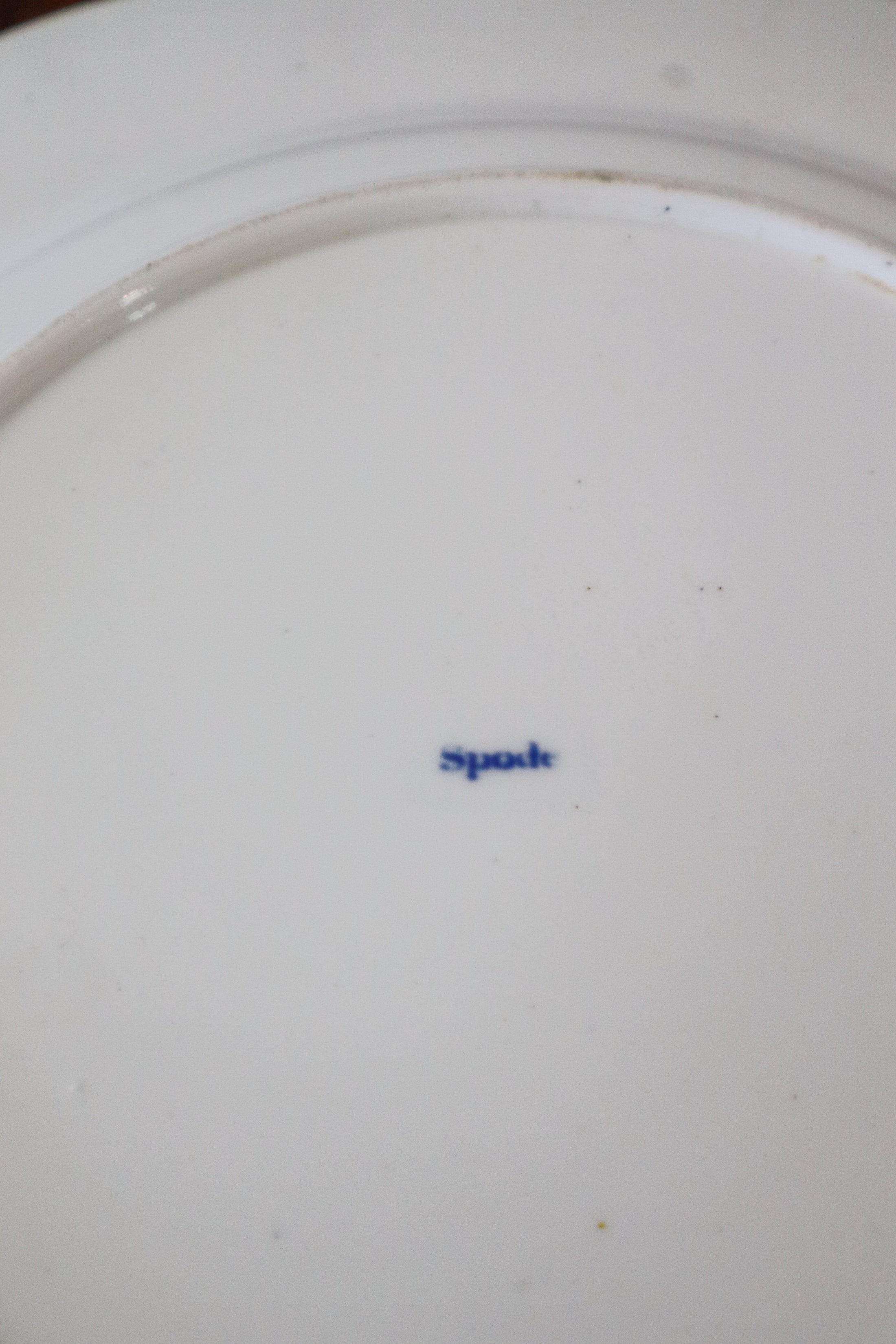 PAIR Blue + White Floral Spode Plates (c. 1840)