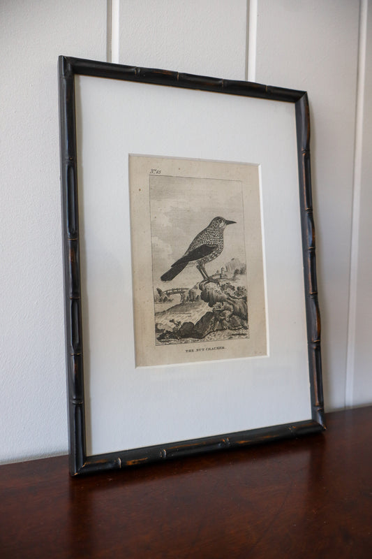 18th Century Copper Plated Bird Engraving by Buffon in Custom Faux Bamboo Frame (c. 1790)