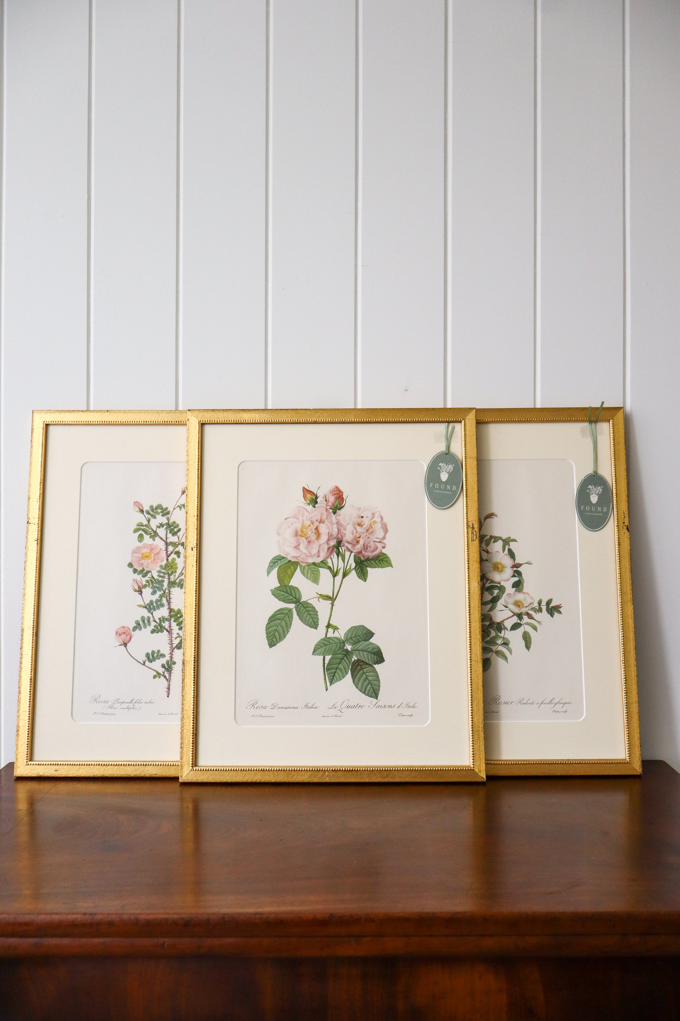 Antique Rose Bookplate in Contemporary Gold Frame | Single Stem