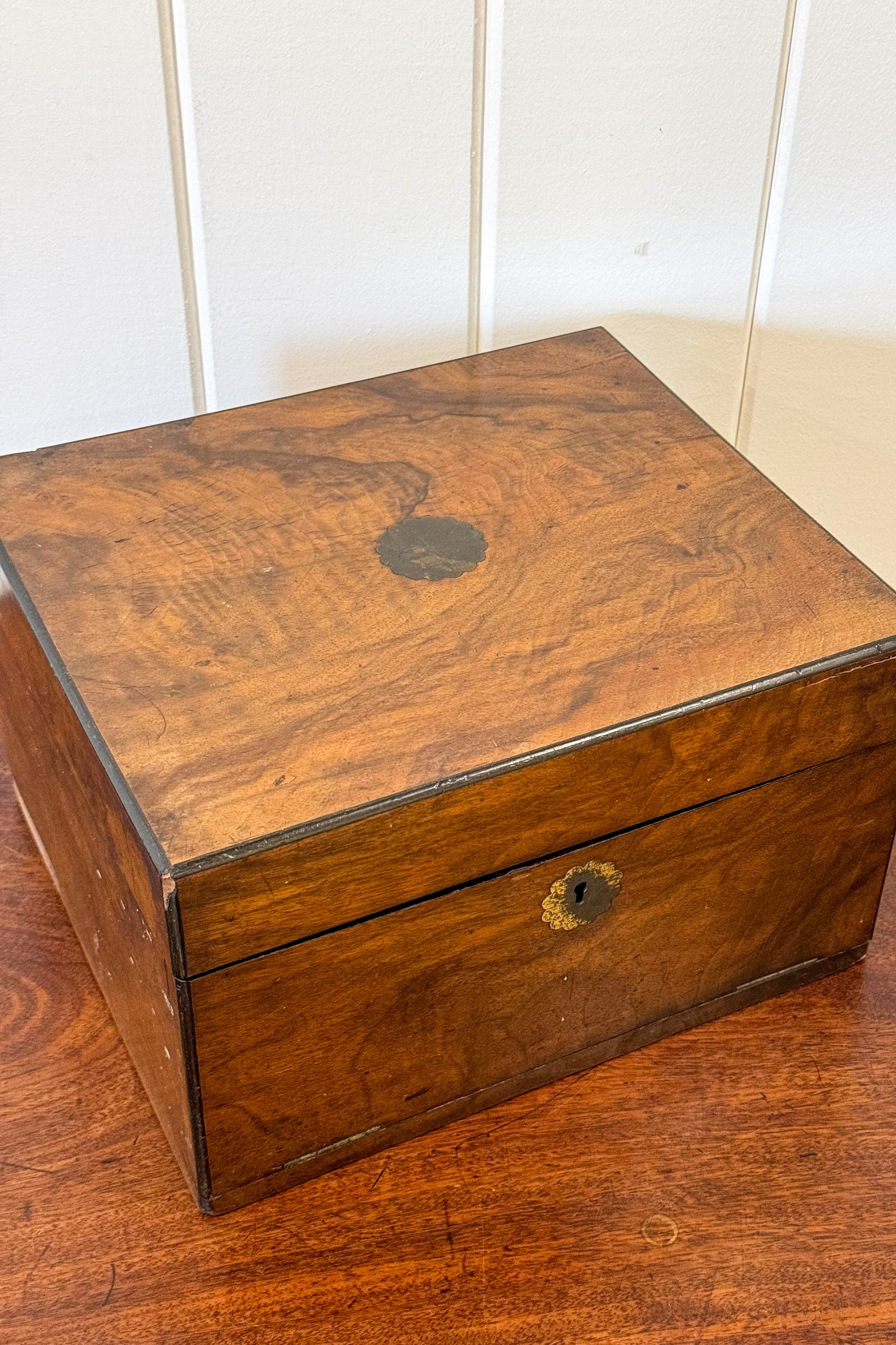 Burl Wood Box with Scallop Brass Details + Blue Velvet Interior