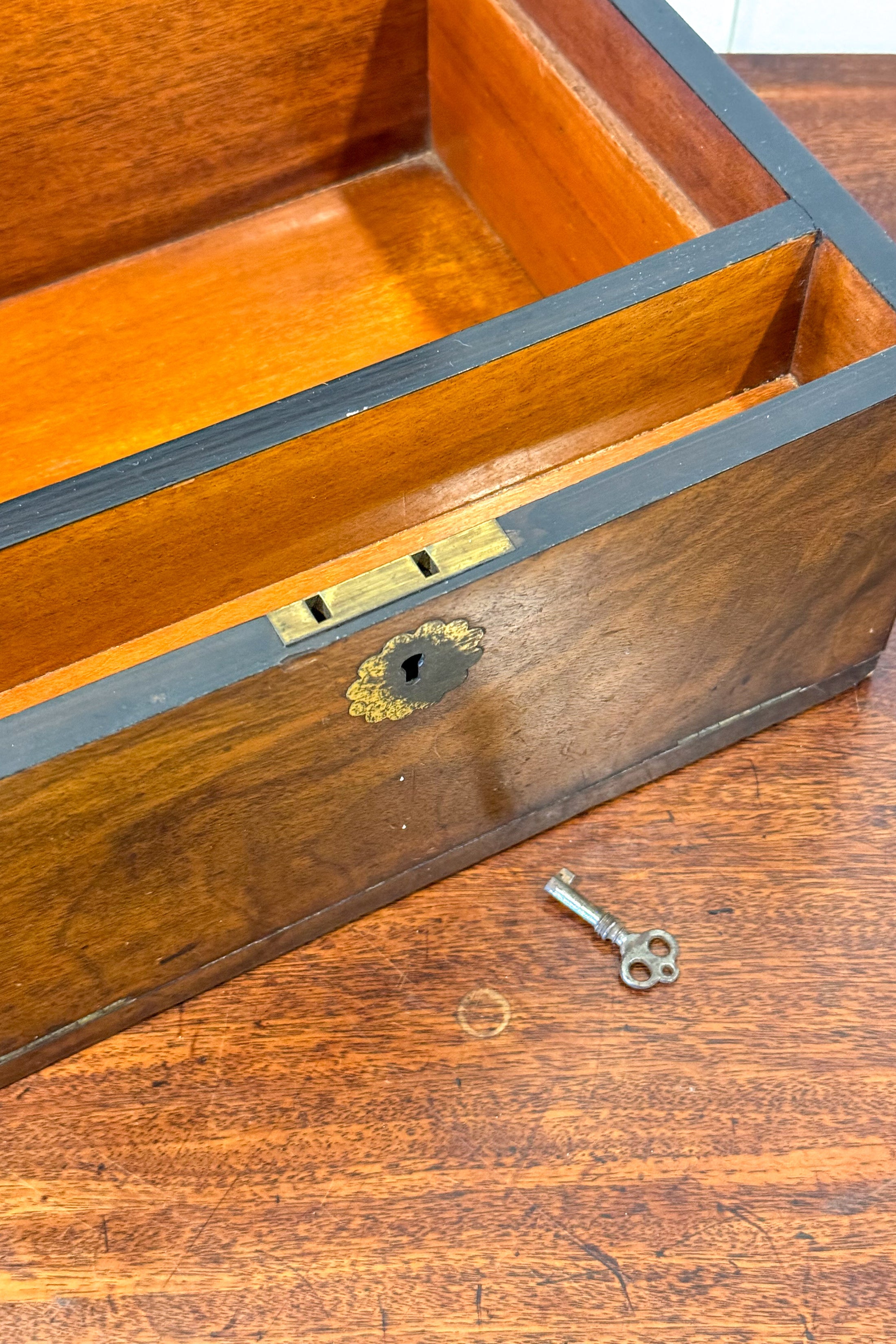 Burl Wood Box with Scallop Brass Details + Blue Velvet Interior