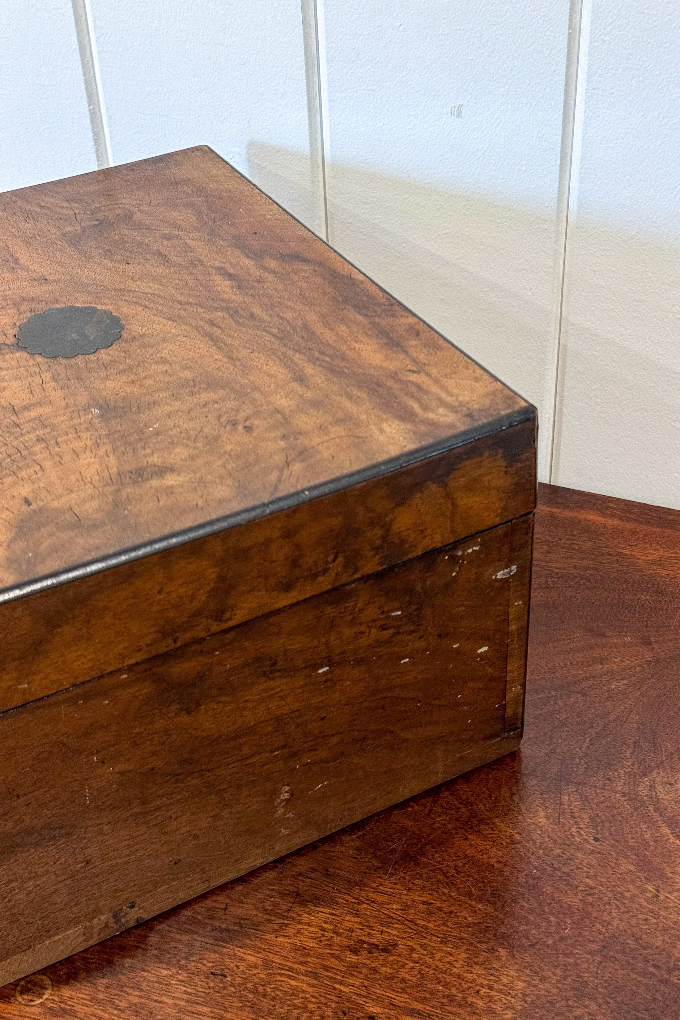 Burl Wood Box with Scallop Brass Details + Blue Velvet Interior