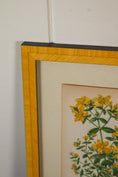Load image into Gallery viewer, SET OF 4 | Antique Hand Colored Botanical Engravings (c.1846) | Float Mounted In Contemporary Yellow Frames
