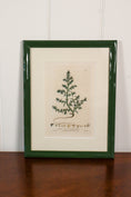Load image into Gallery viewer, Antique Botanical Hand Colored Bookplates in Contemporary Green Lacquer Frames
