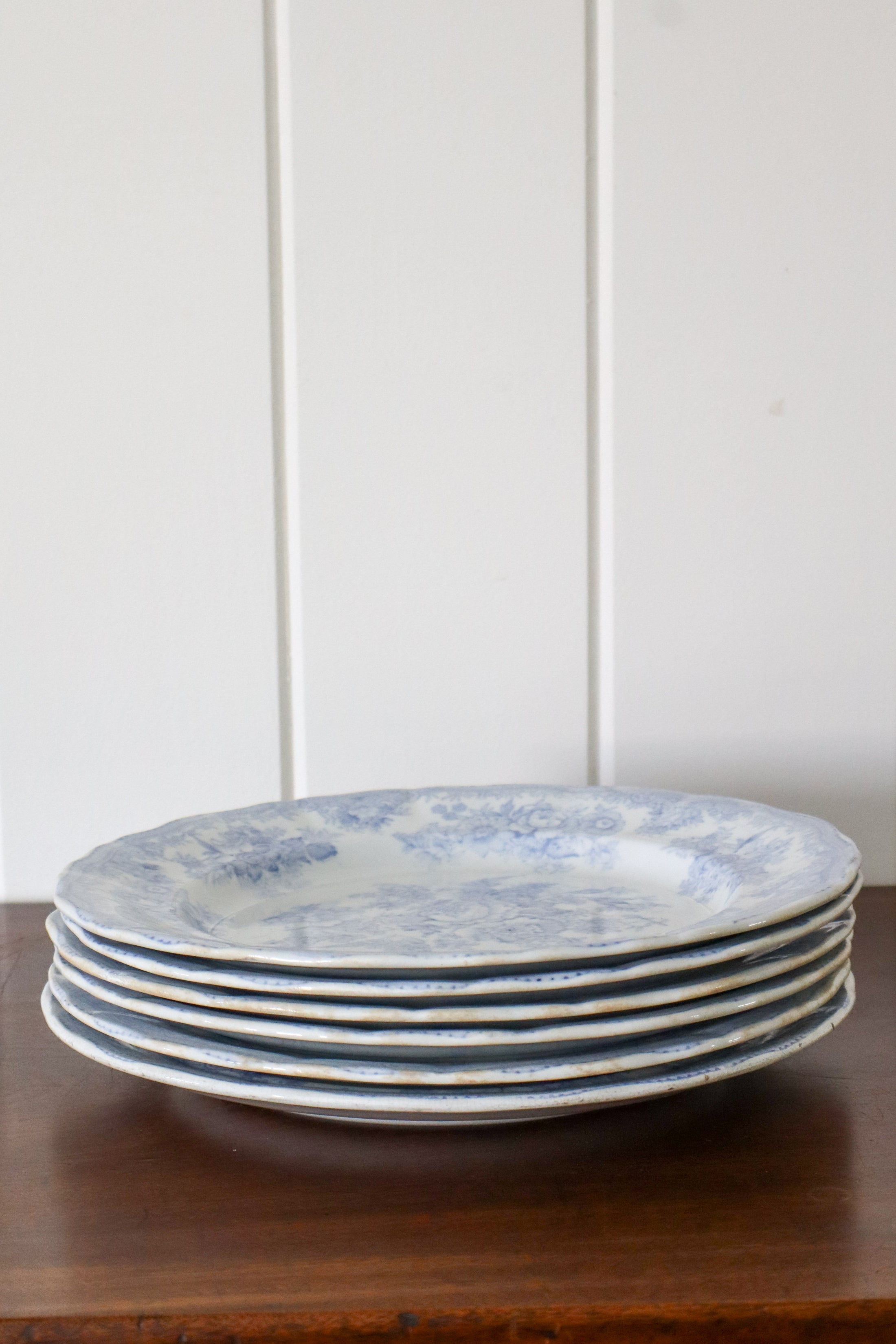SET of 6 Antique Asiatic Pheasant Dinner Plates 10.5”