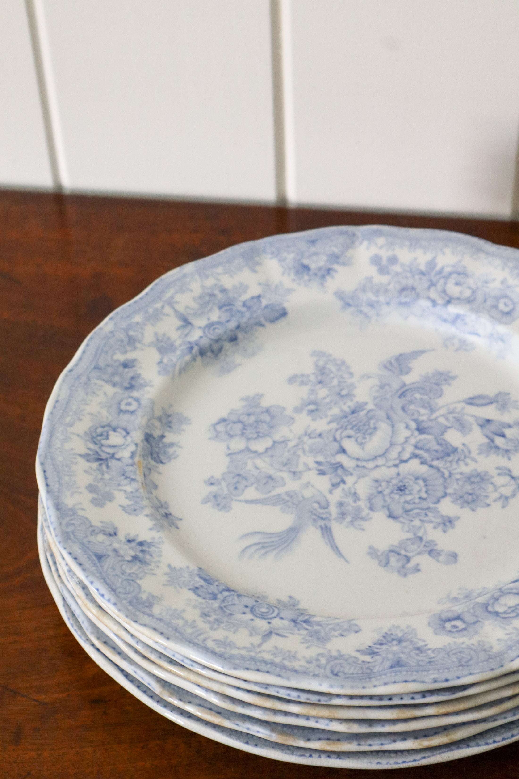 SET of 6 Antique Asiatic Pheasant Dinner Plates 10.5”