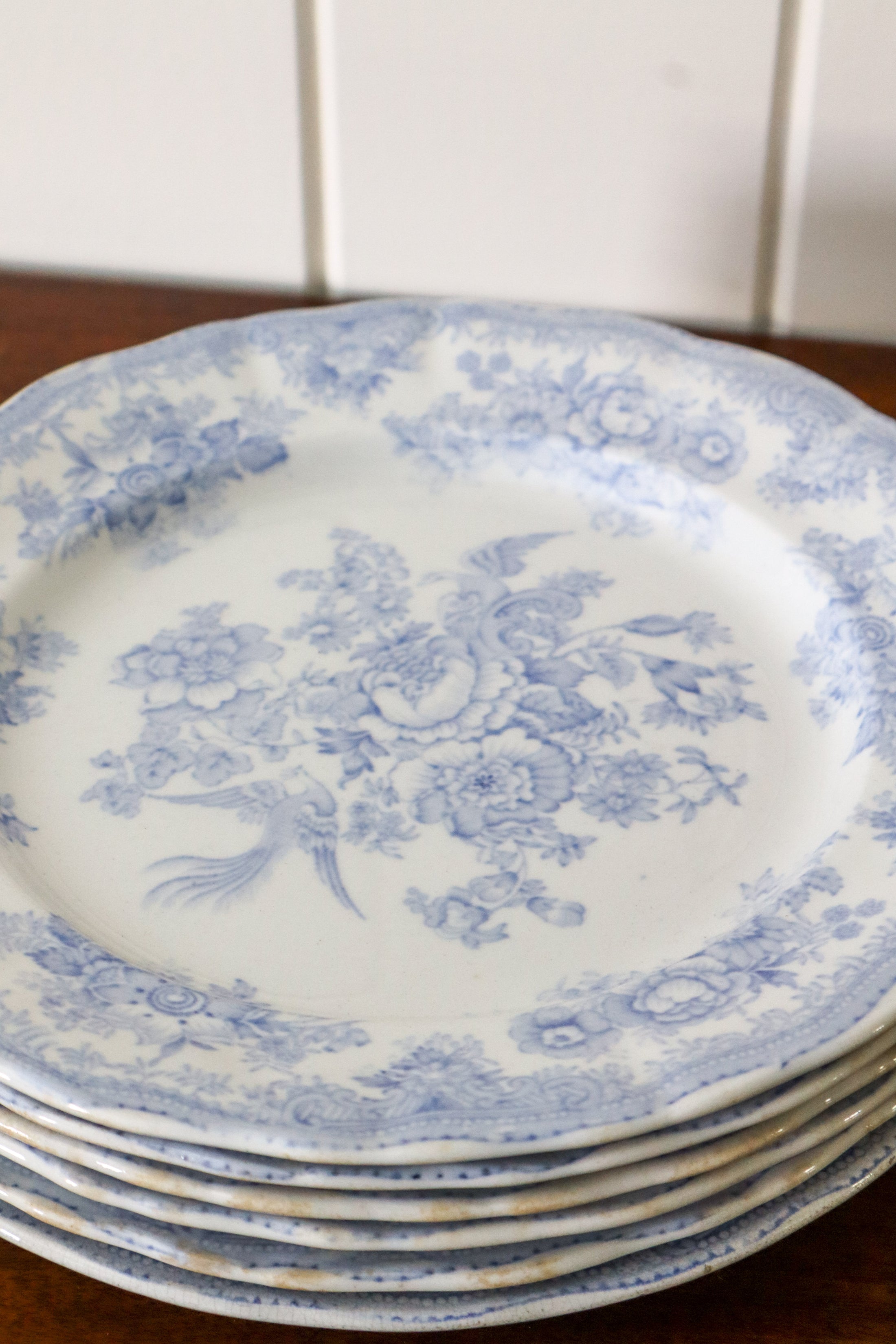 SET of 6 Antique Asiatic Pheasant Dinner Plates 10.5”