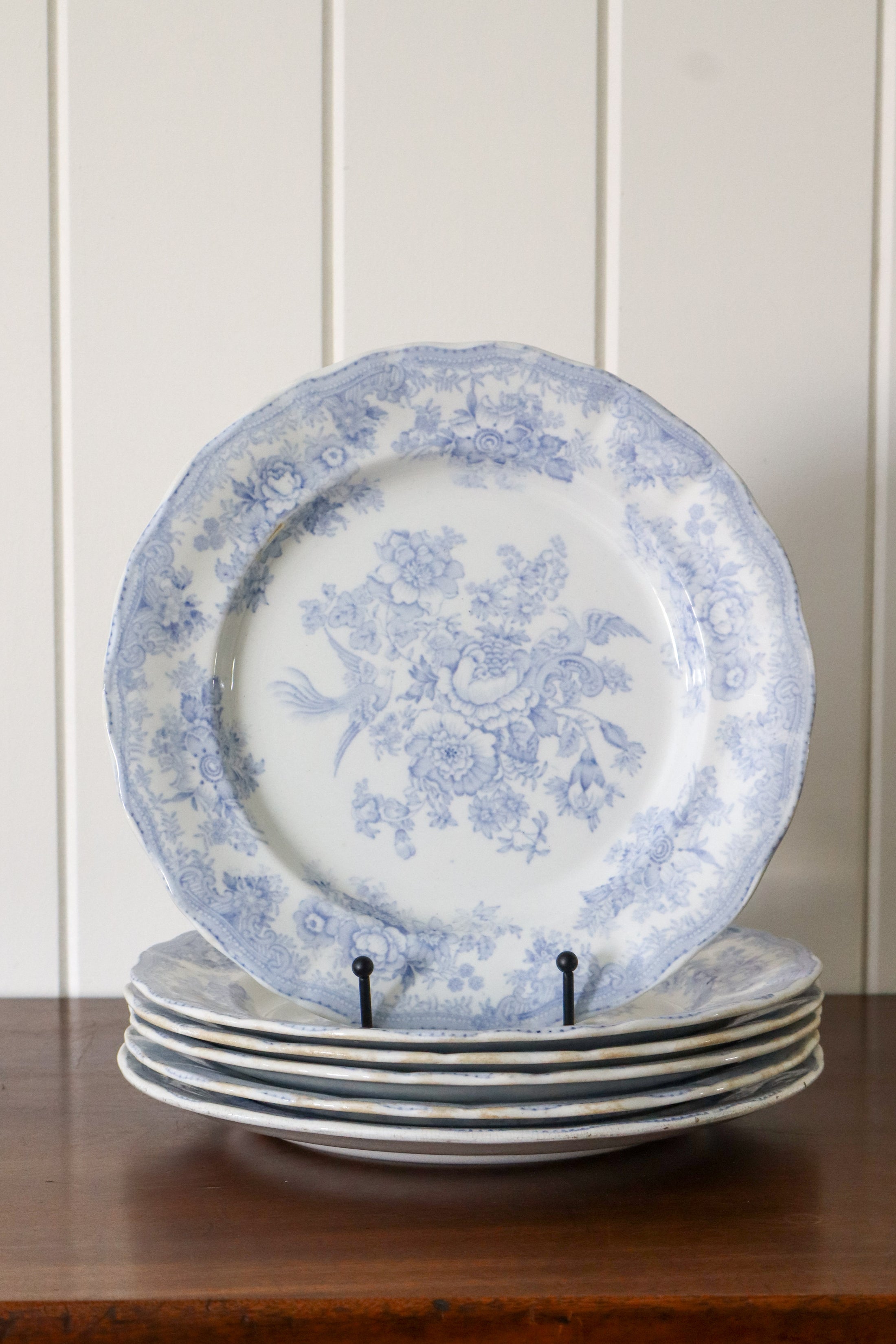 SET of 6 Antique Asiatic Pheasant Dinner Plates 10.5”