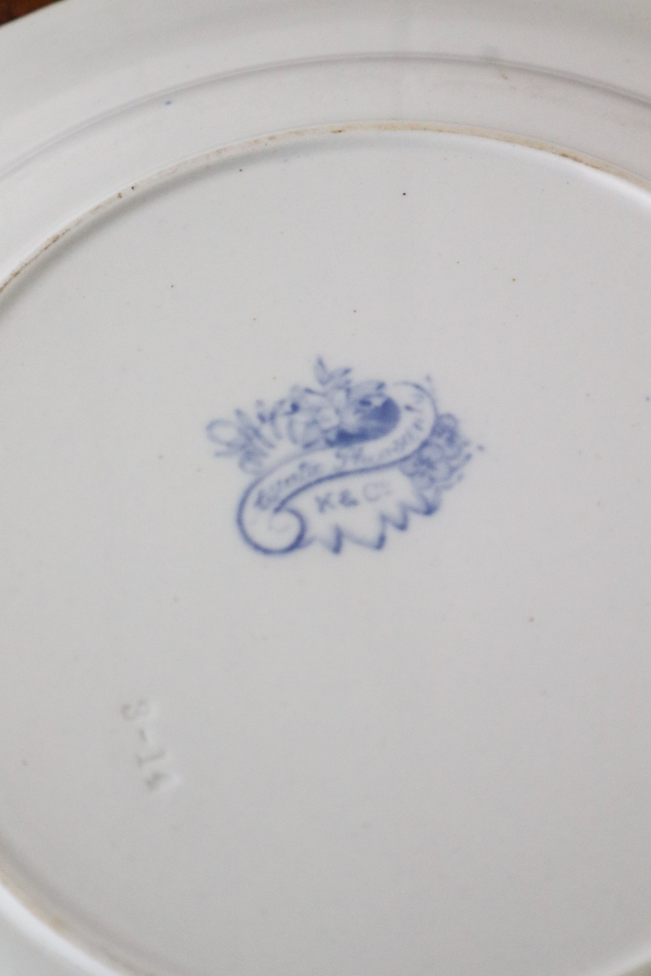 SET of 6 Antique Asiatic Pheasant Dinner Plates 10.5”