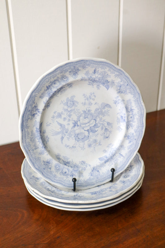 SINGLE | Antique English Asiatic Pheasant 9.25” Plate (c. 1862-1872)
