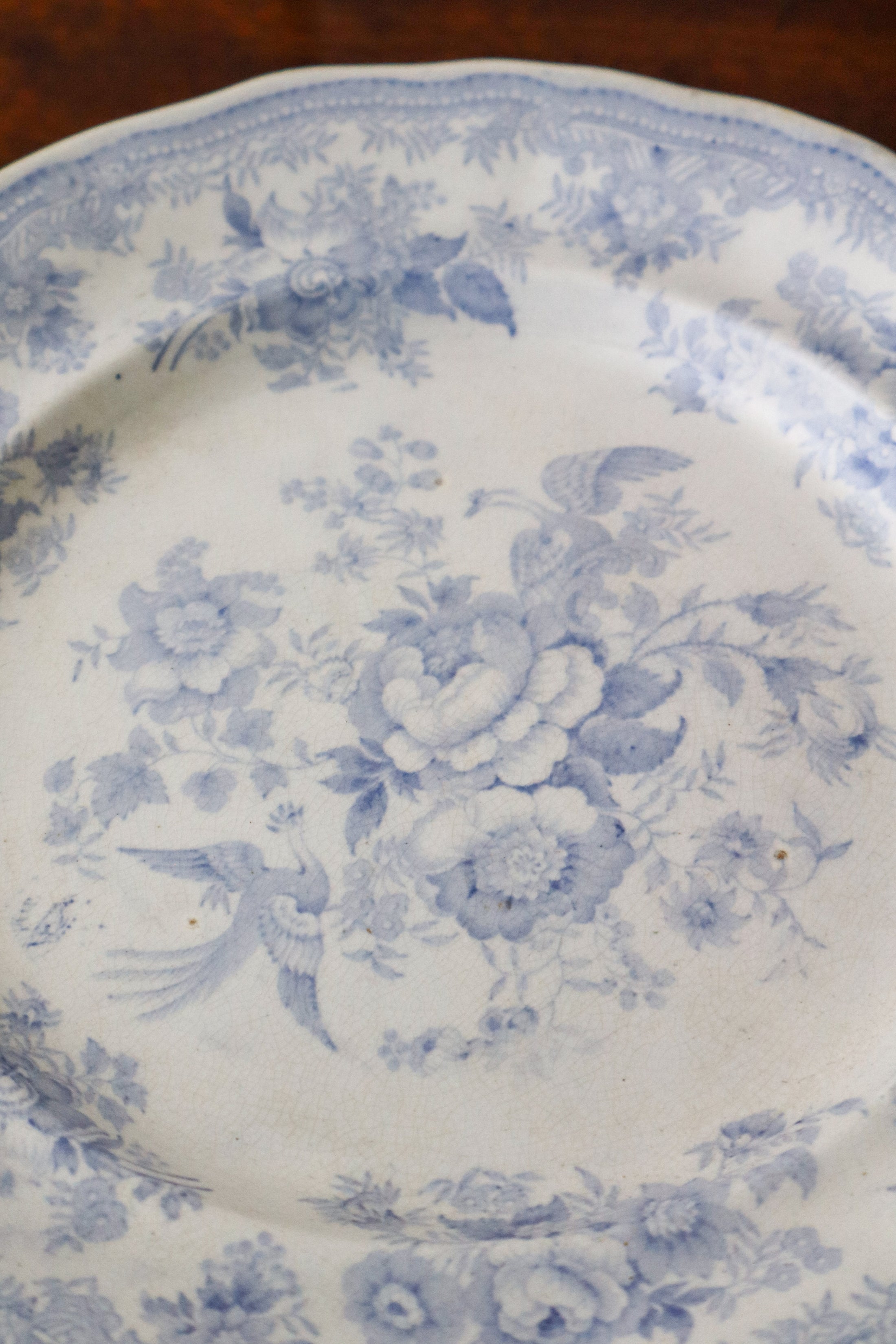 SET of 4 Asiatic Pheasant 9.25” Plates by Hancock, Whittingham & Co. (c. 1862-1872)