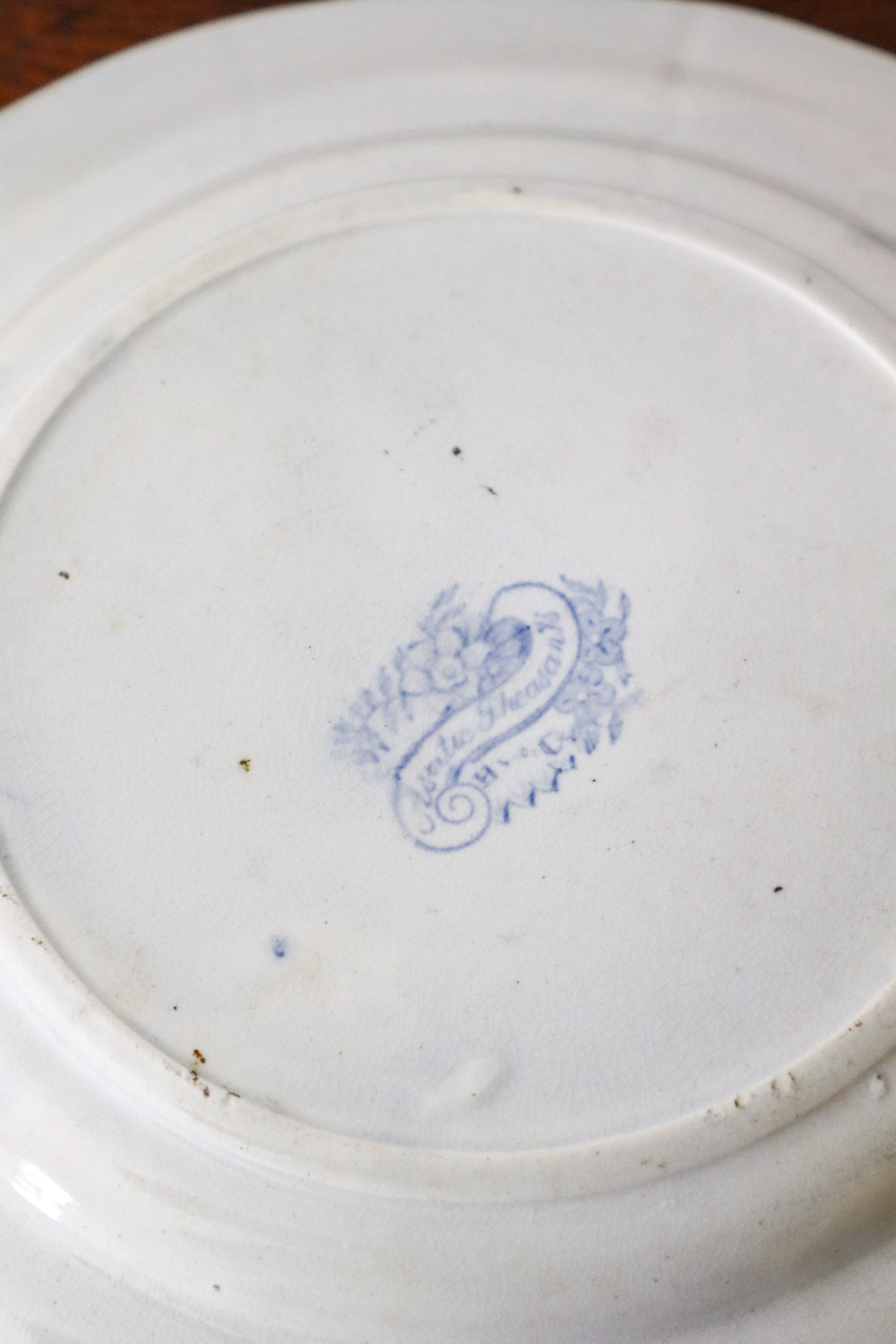 SET of 4 Asiatic Pheasant 9.25” Plates by Hancock, Whittingham & Co. (c. 1862-1872)