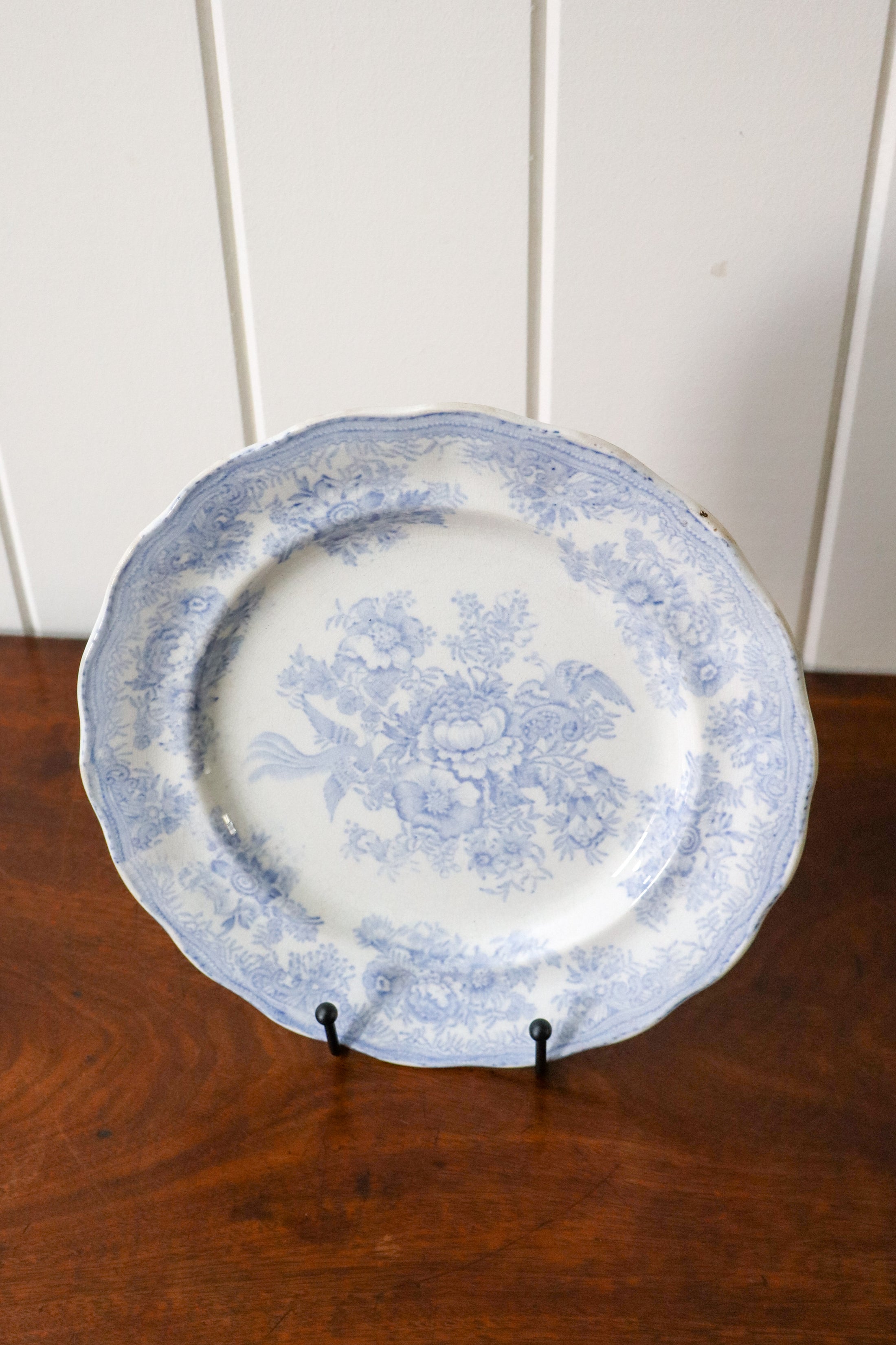 Antique Asiatic Pheasant Plate 9.5” | No. 1