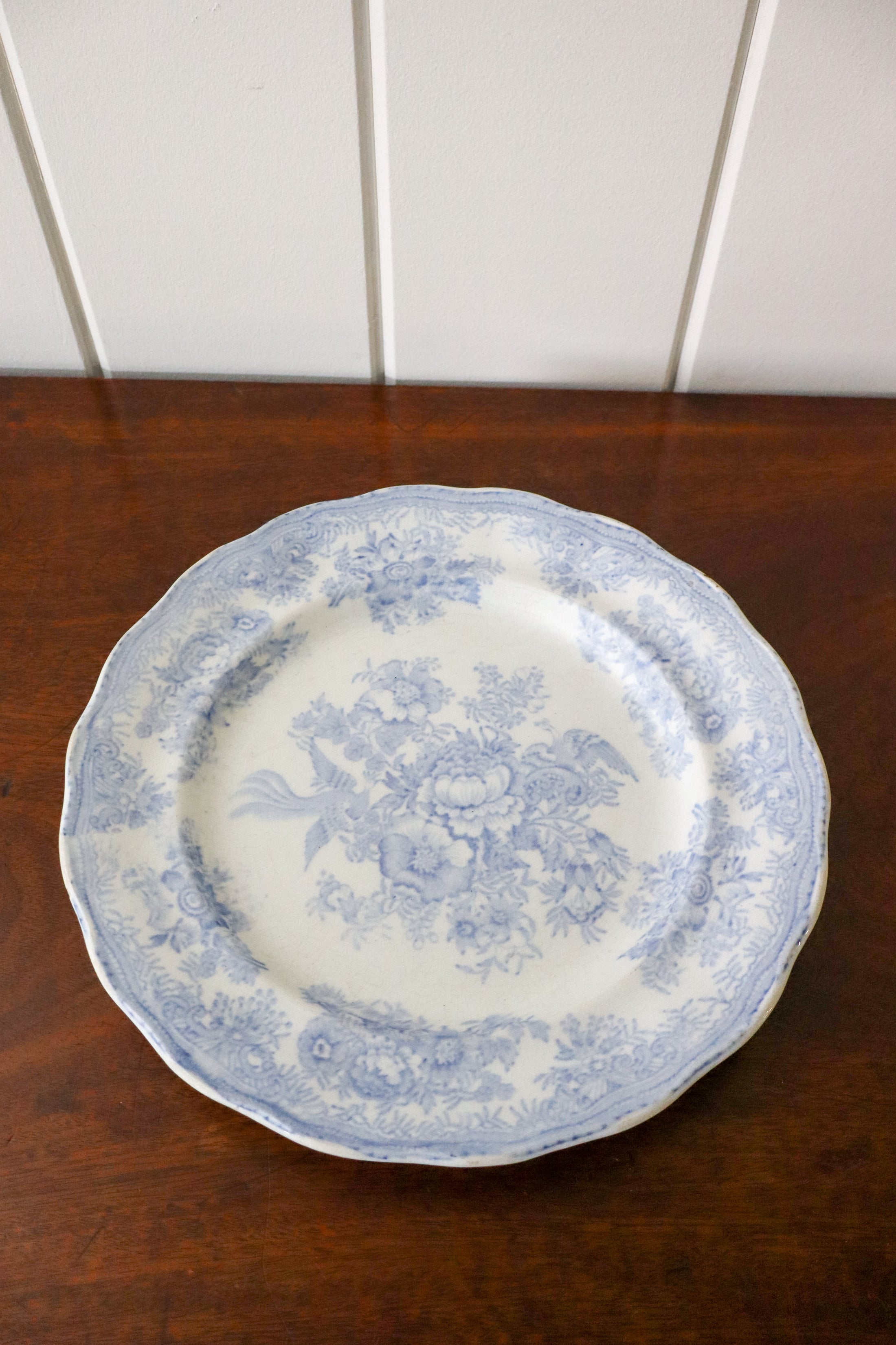 Antique Asiatic Pheasant Plate 9.5” | No. 1