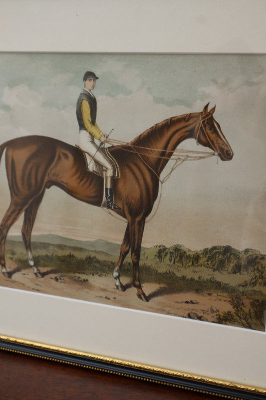 Antique Hand Colored Horse + Rider Engraving (English; c. 1840) | No. 2