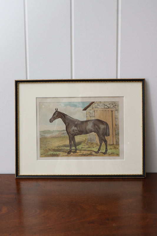 Antique Hand Colored Horse Engraving (English; c. 1840) | No. 3