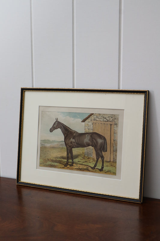 Antique Hand Colored Horse Engraving (English; c. 1840) | No. 3