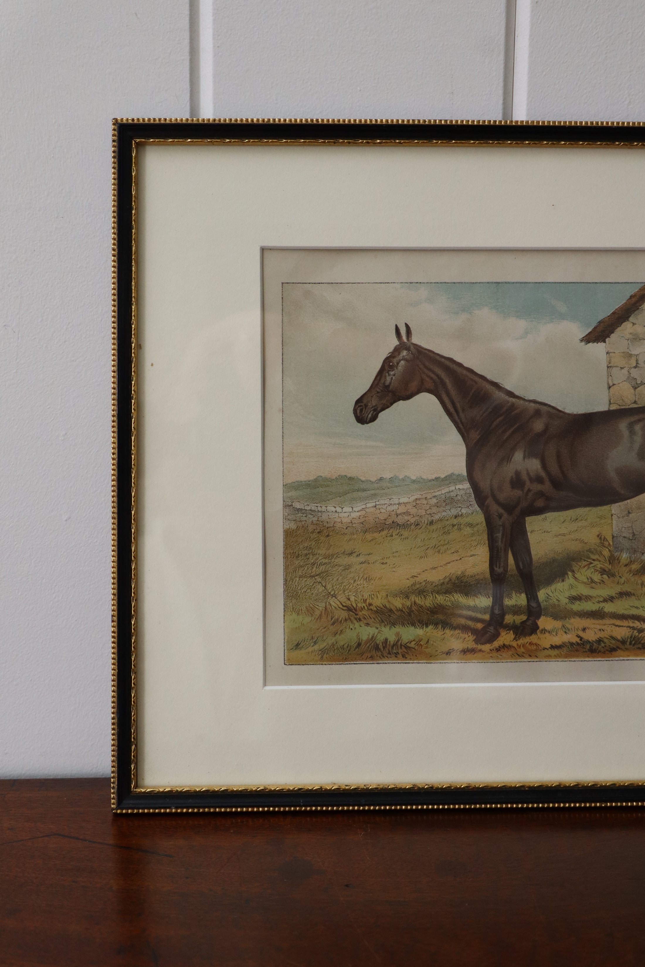 Antique Hand Colored Horse Engraving (English; c. 1840) | No. 3