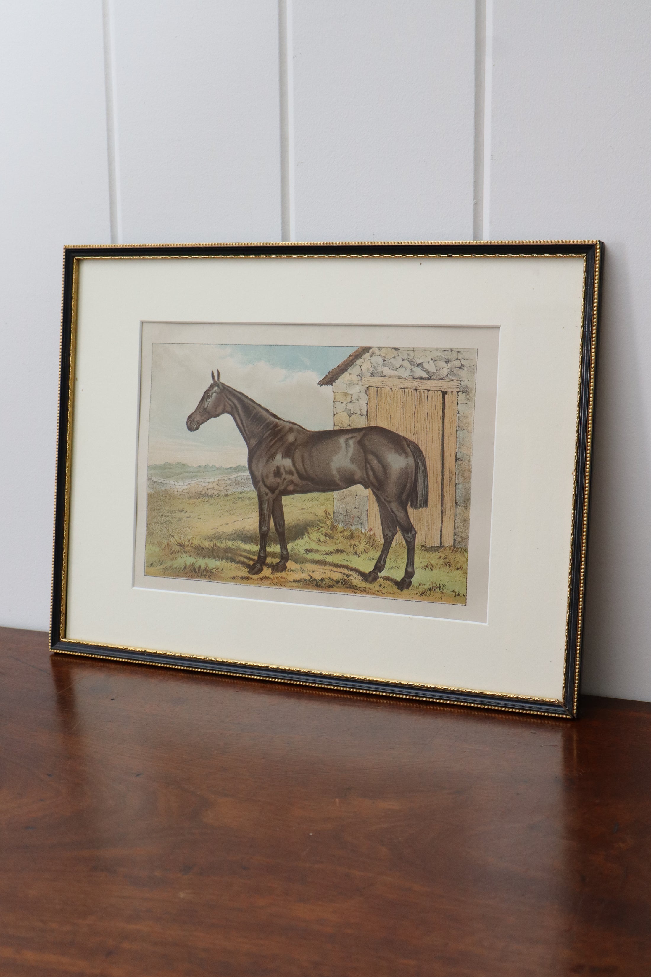 Antique Hand Colored Horse Engraving (English; c. 1840) | No. 3