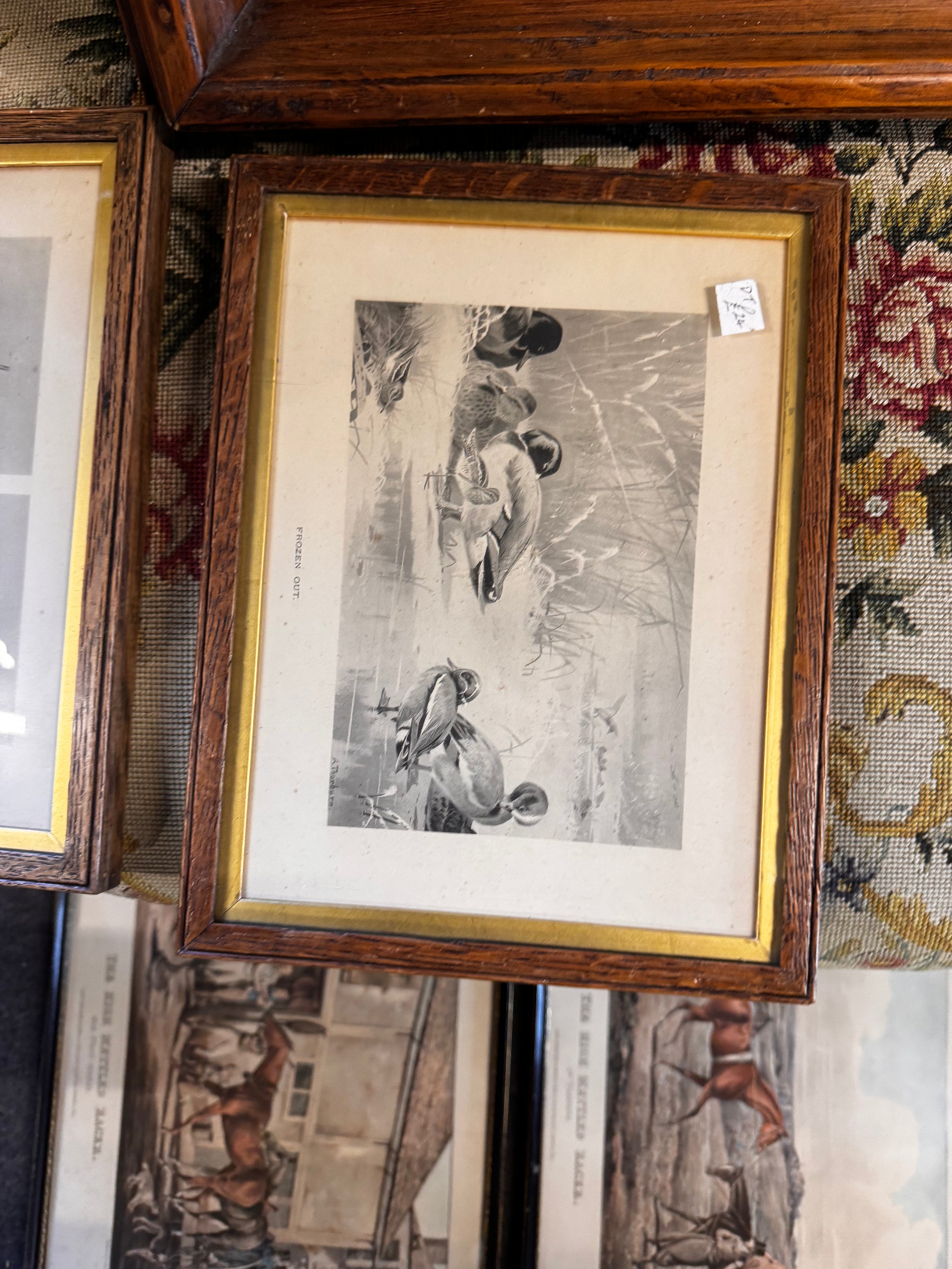 'Frozen Out' Antique English Duck Print in Oak Frame