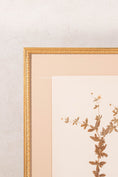 Load image into Gallery viewer, Framed Herbarium (Finland, c. 1928-30) Float Mount in Custom Burl Frame
