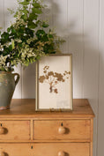 Load image into Gallery viewer, Framed Herbarium (Finland, c. 1928-30) in Custom Beaded Champagne Frame
