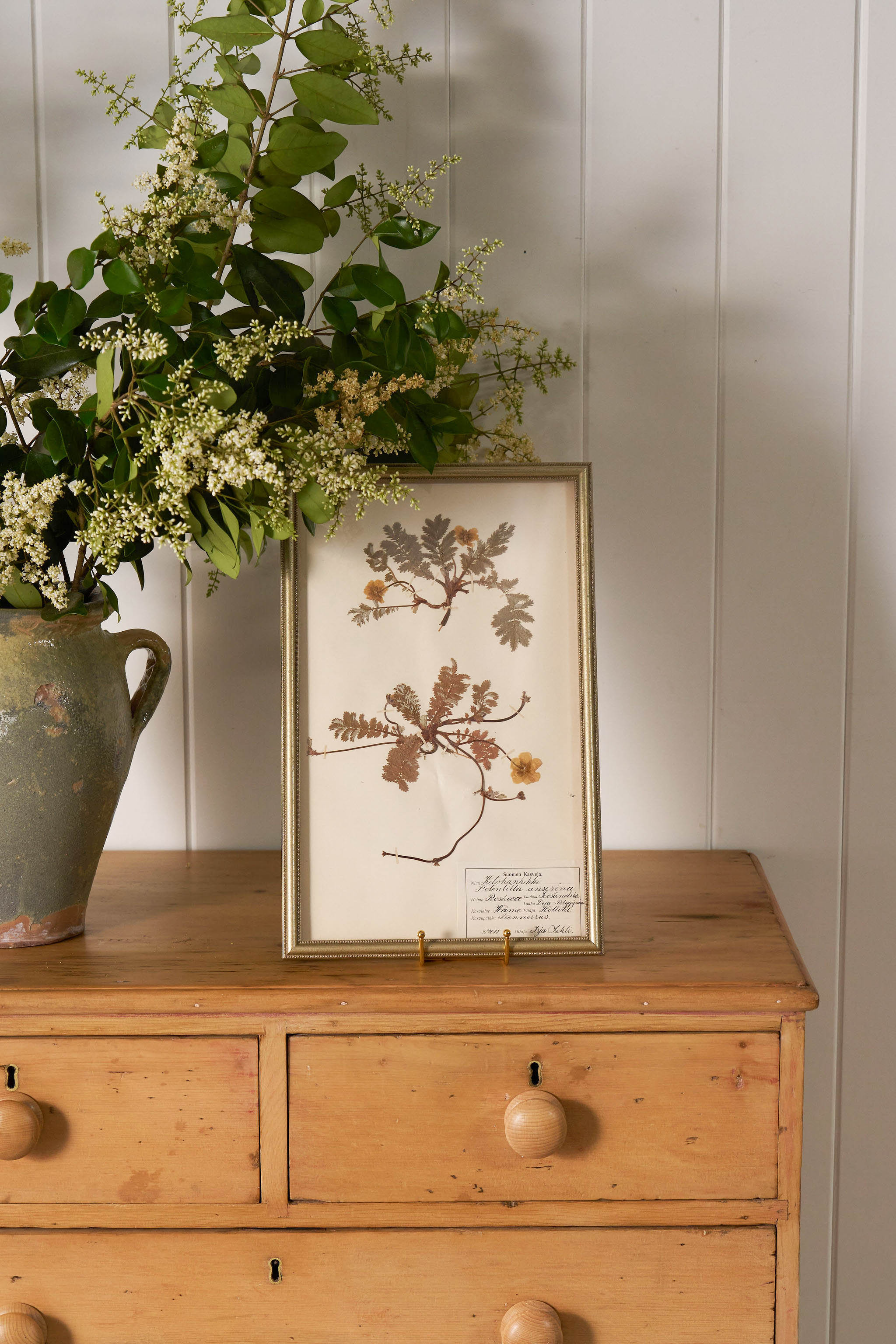 Framed Herbarium (Finland, c. 1928-30) in Custom Beaded Champagne Frame