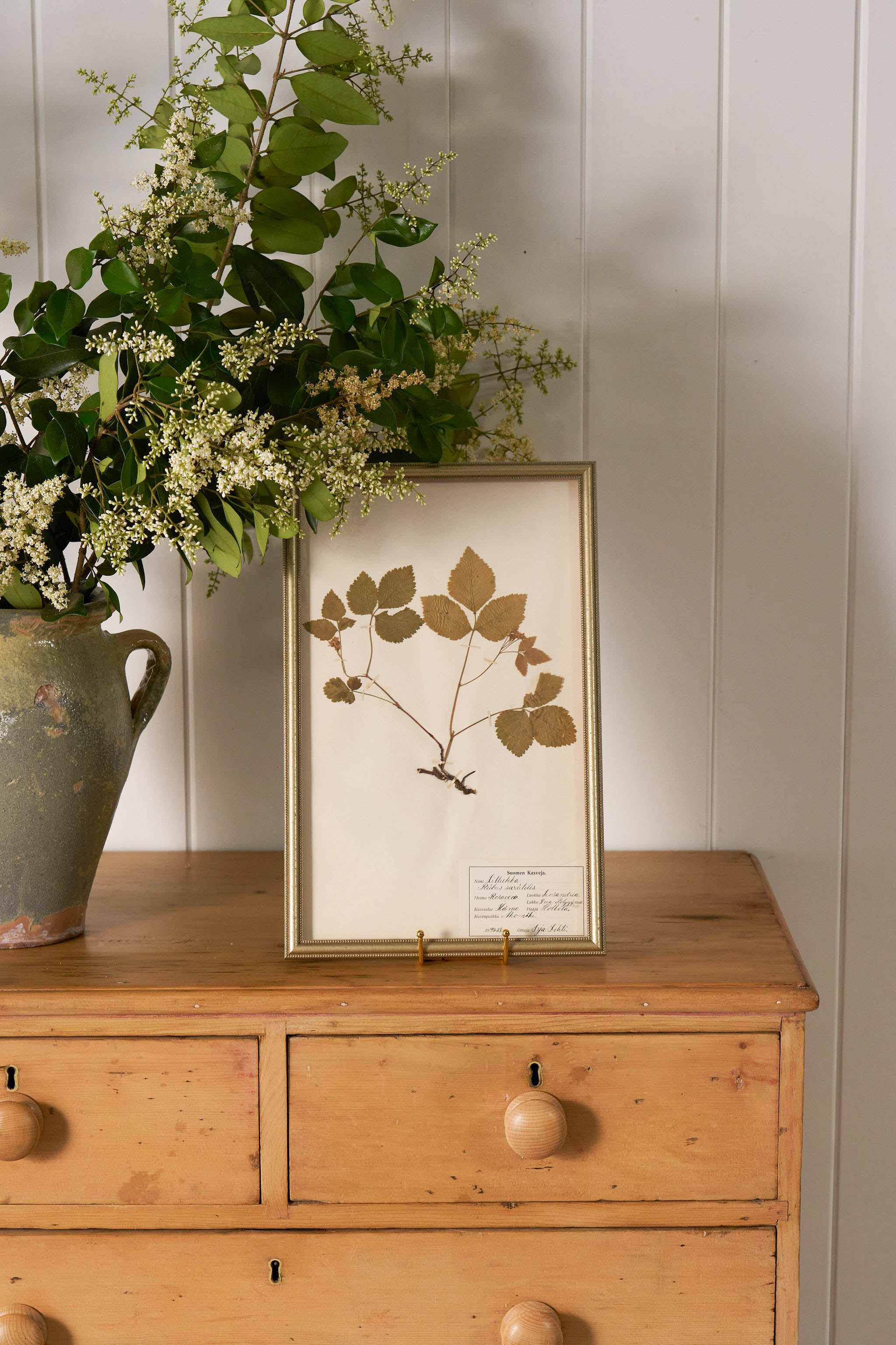 Framed Herbarium (Finland, c. 1928-30) in Custom Beaded Champagne Frame