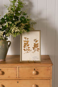 Load image into Gallery viewer, Framed Herbarium (Finland, c. 1928-30) in Custom Beaded Champagne Frame
