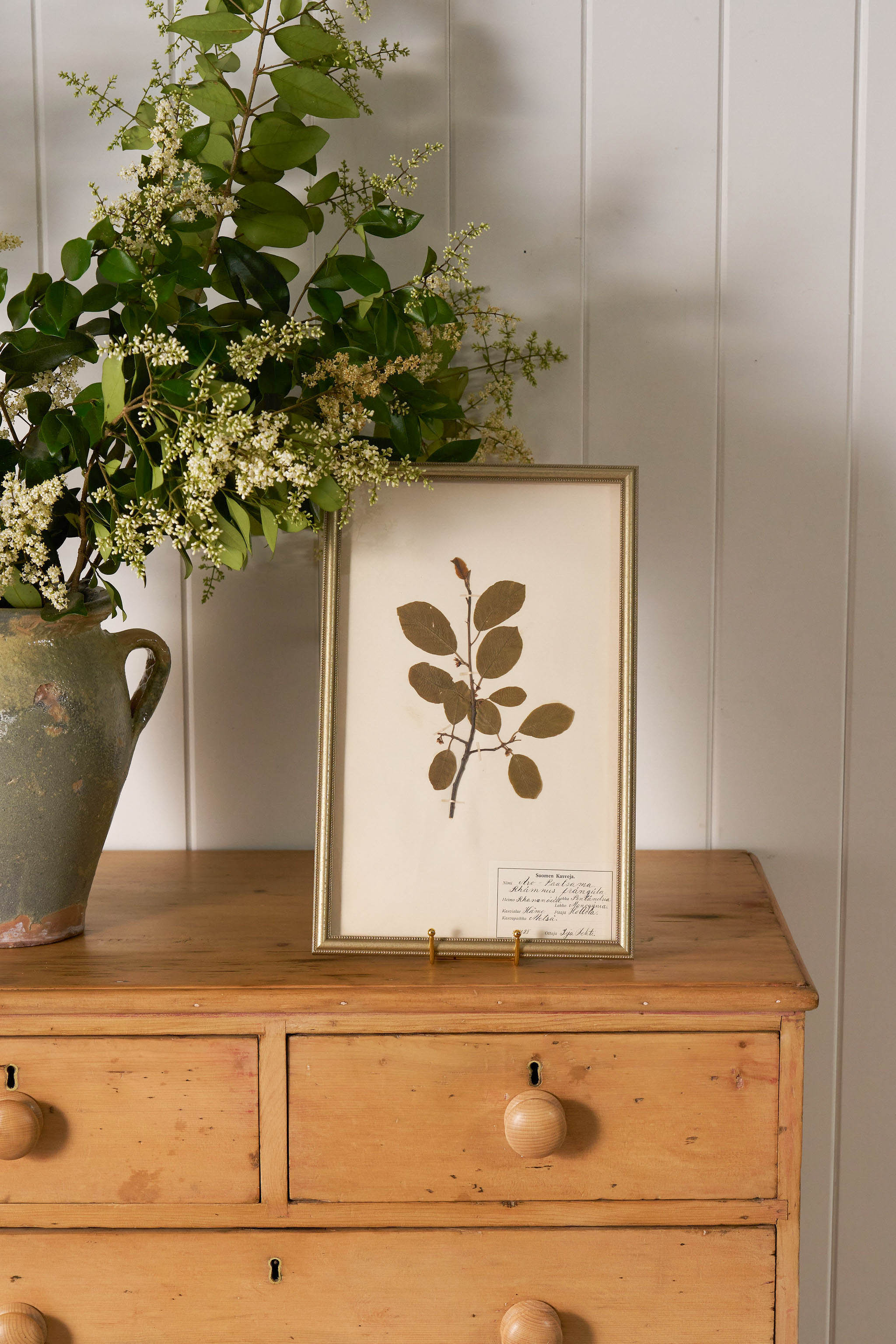 Framed Herbarium (Finland, c. 1928-30) in Custom Beaded Champagne Frame