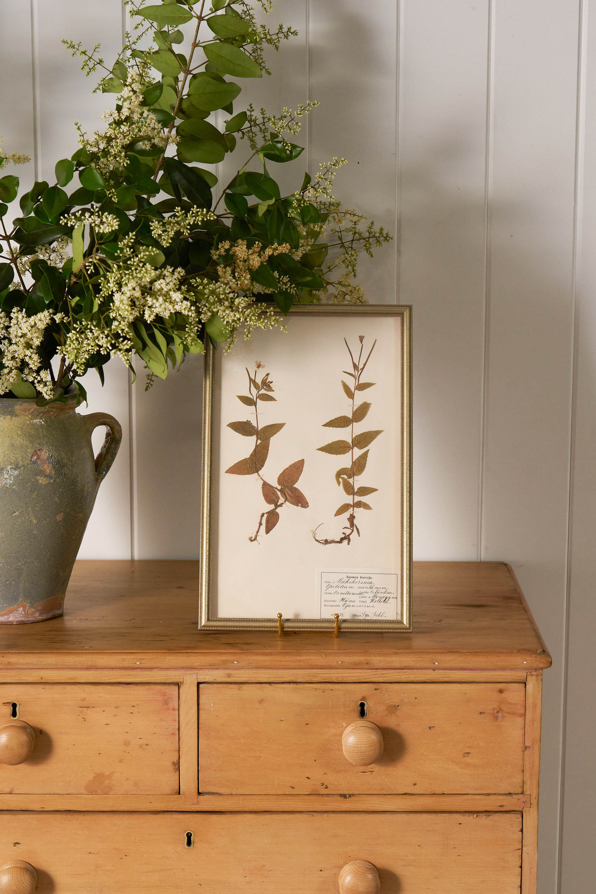 Framed Herbarium (Finland, c. 1928-30) in Custom Beaded Champagne Frame
