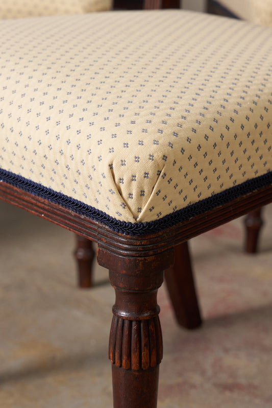 SET of 6 | English Victorian Mahogany Dining Chairs with Newly Upholstered Tiny Blue Dot Fabric