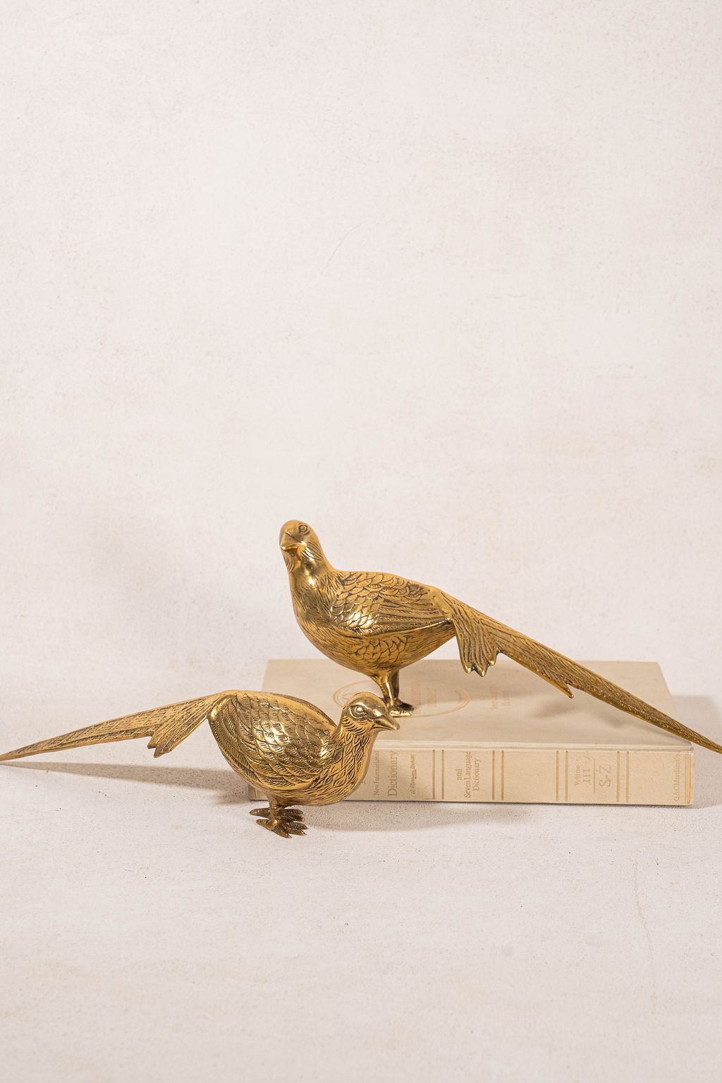 PAIR of English Brass Game Birds / Pheasants