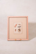Load image into Gallery viewer, SET of 6 Antique English Seashells | Float Mount in Contemporary Pink Gloss Frames
