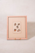 Load image into Gallery viewer, SET of 6 Antique English Seashells | Float Mount in Contemporary Pink Gloss Frames
