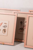Load image into Gallery viewer, SET of 6 Antique English Seashells | Float Mount in Contemporary Pink Gloss Frames

