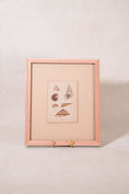 Load image into Gallery viewer, SET of 6 Antique English Seashells | Float Mount in Contemporary Pink Gloss Frames
