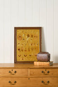 Load image into Gallery viewer, Early 20th Century English School Anatomy Prints with Walnut Frames + Inner Gilt
