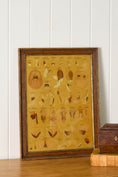 Load image into Gallery viewer, Early 20th Century English School Anatomy Prints with Walnut Frames + Inner Gilt
